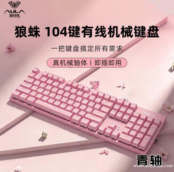 狼蛛（AULA）S2022有线背光机械键盘