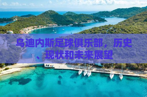 乌迪内斯足球俱乐部，历史、现状和未来展望